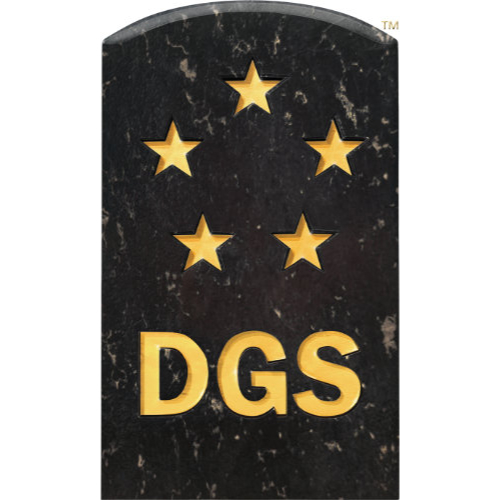 DGS Games