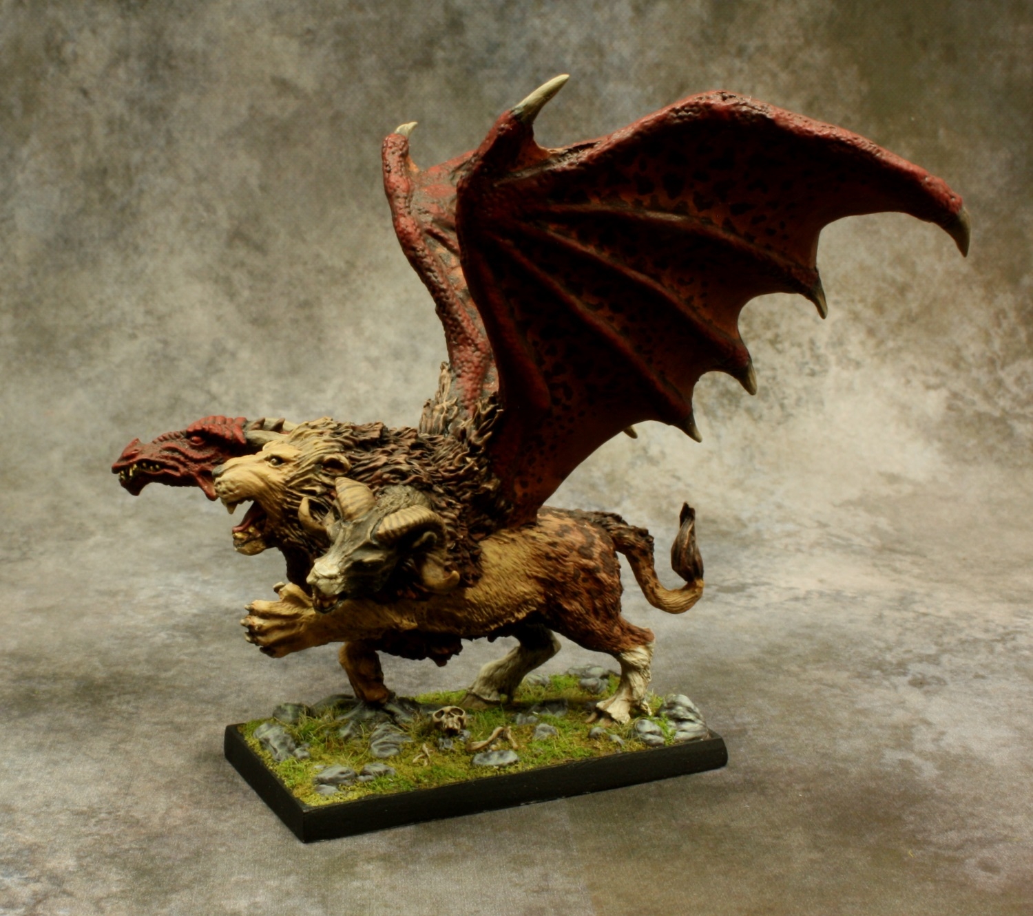 Spotted Chimera