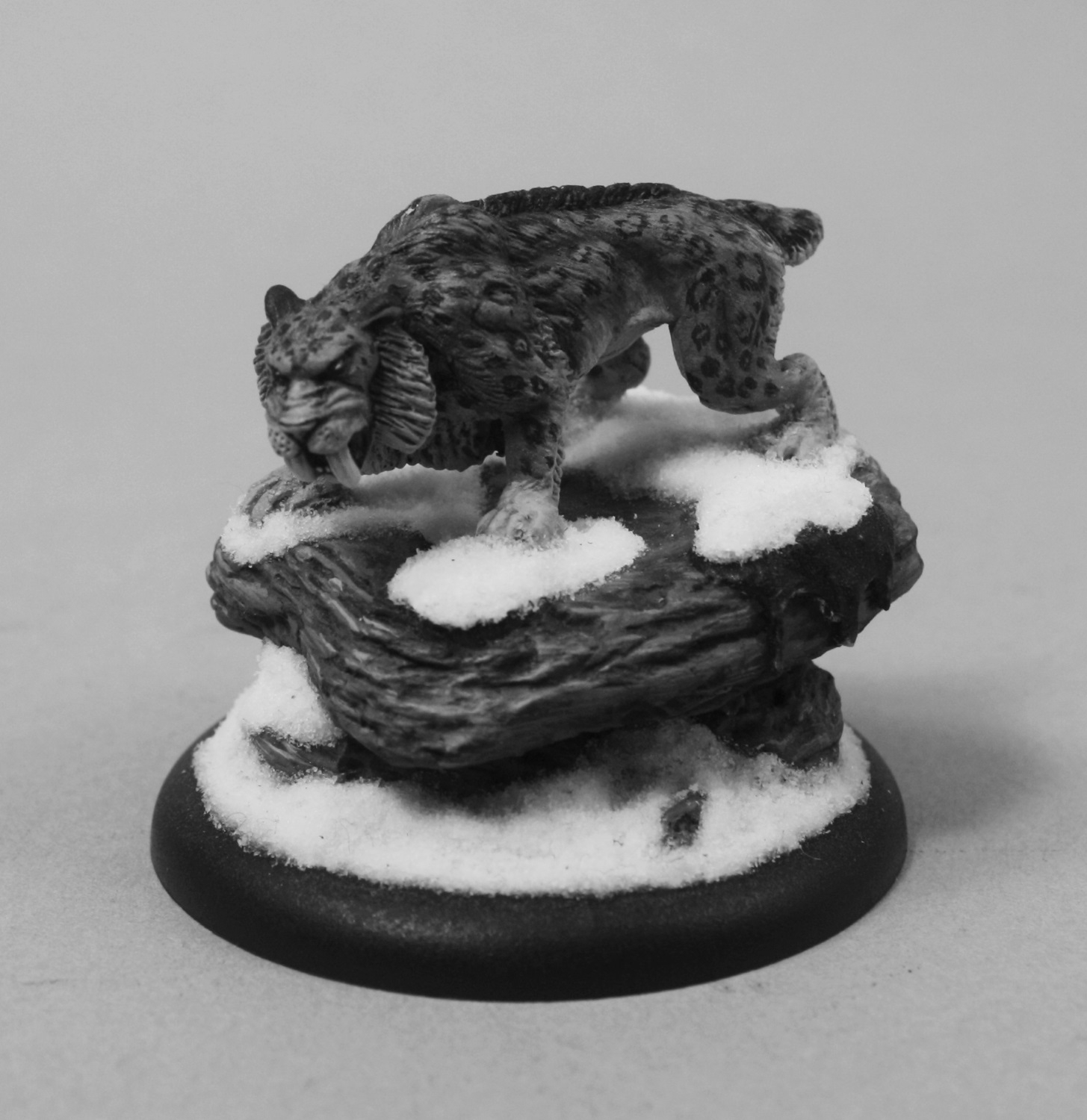 Winter Cat