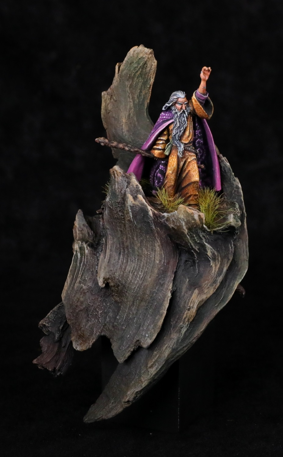 THE WIZZARD