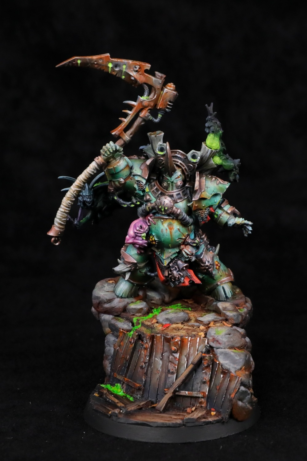 Typhus