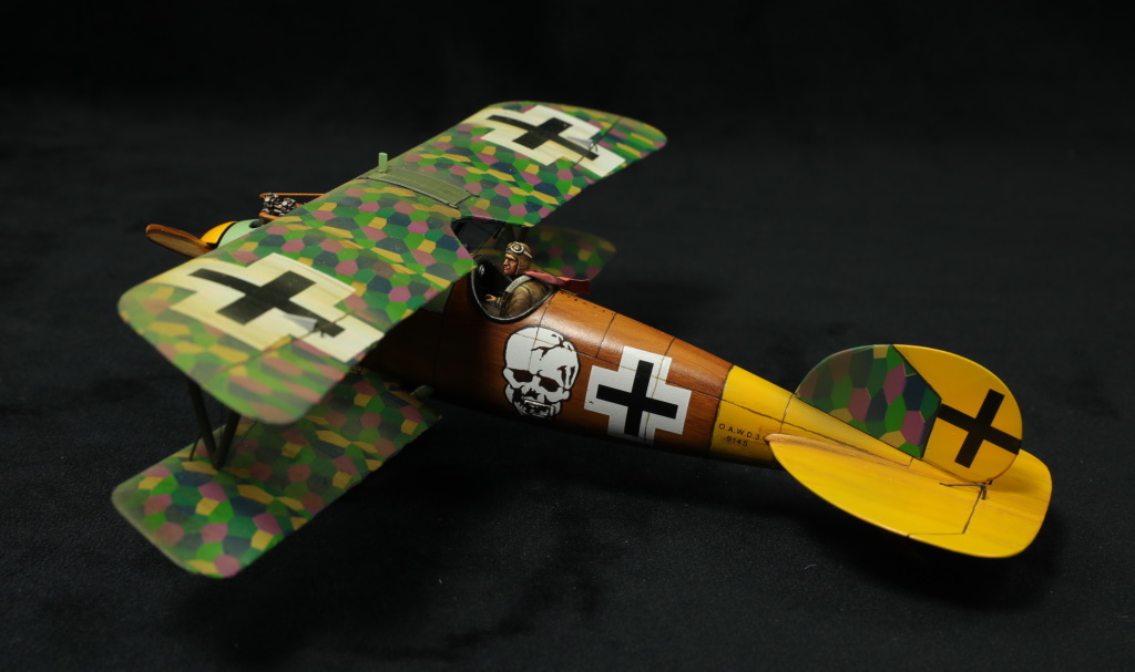 Albatros