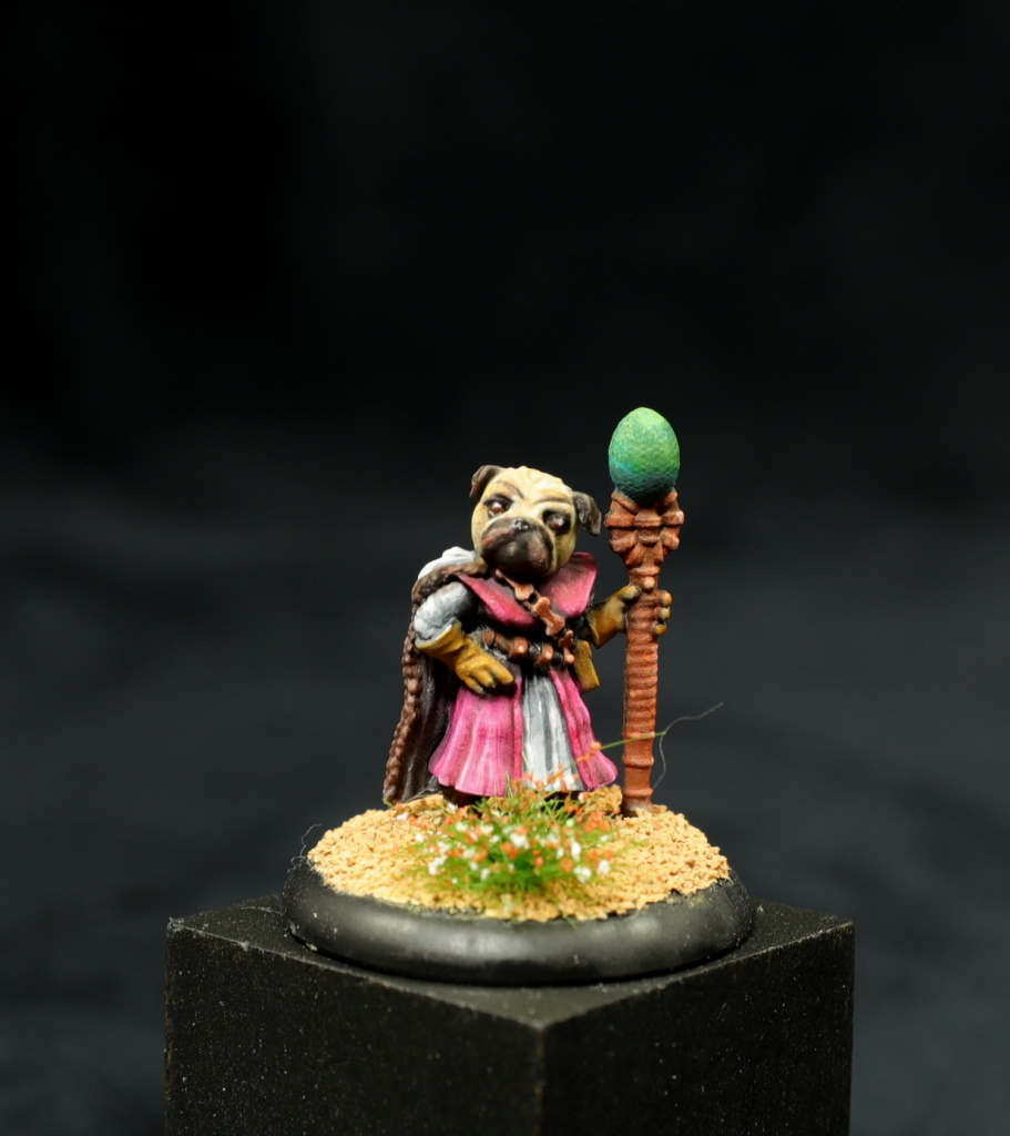 Tiger Lily the Pug Mage