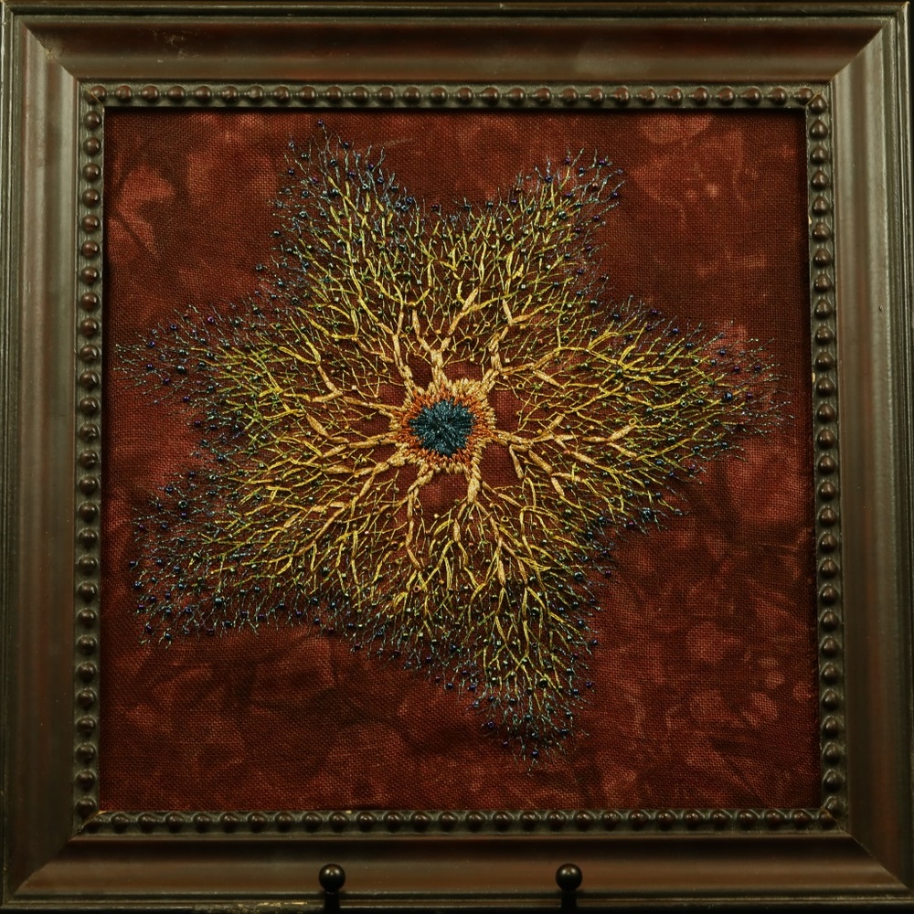 Twinkle Twinkle Little Astrocyte