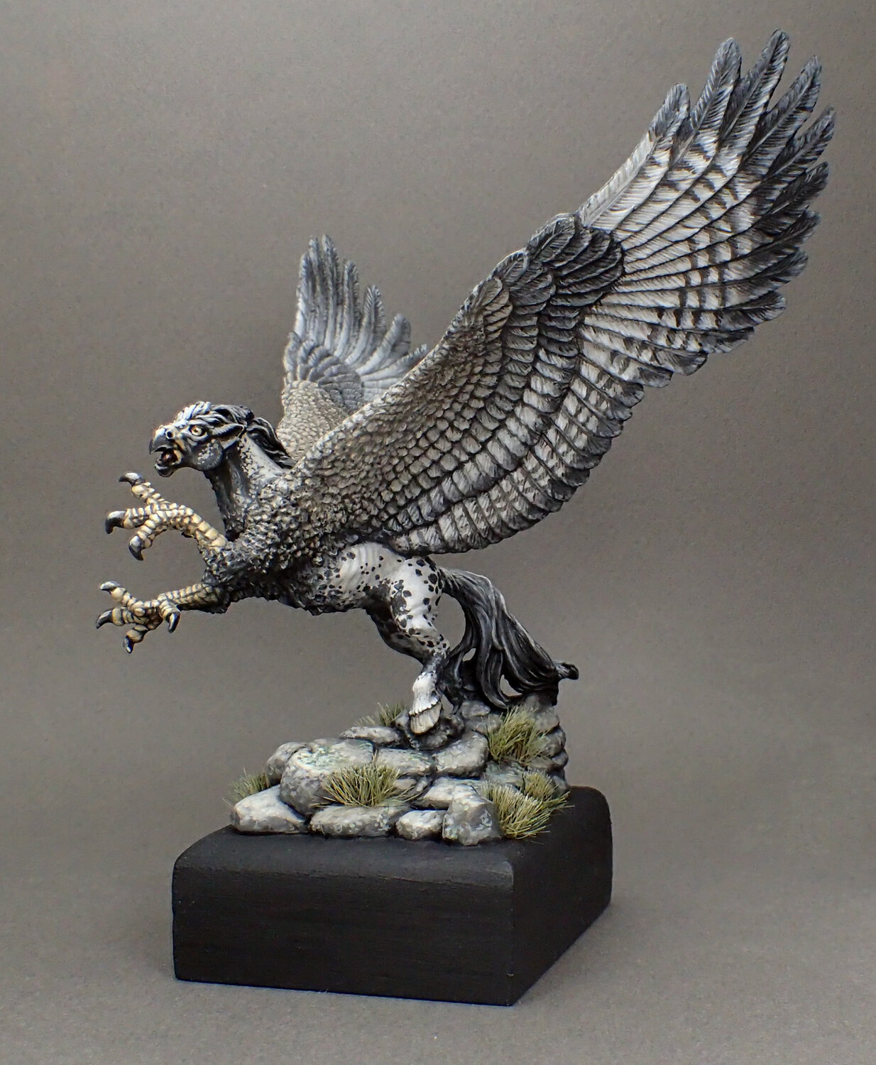 Appaloosa Hippogriff