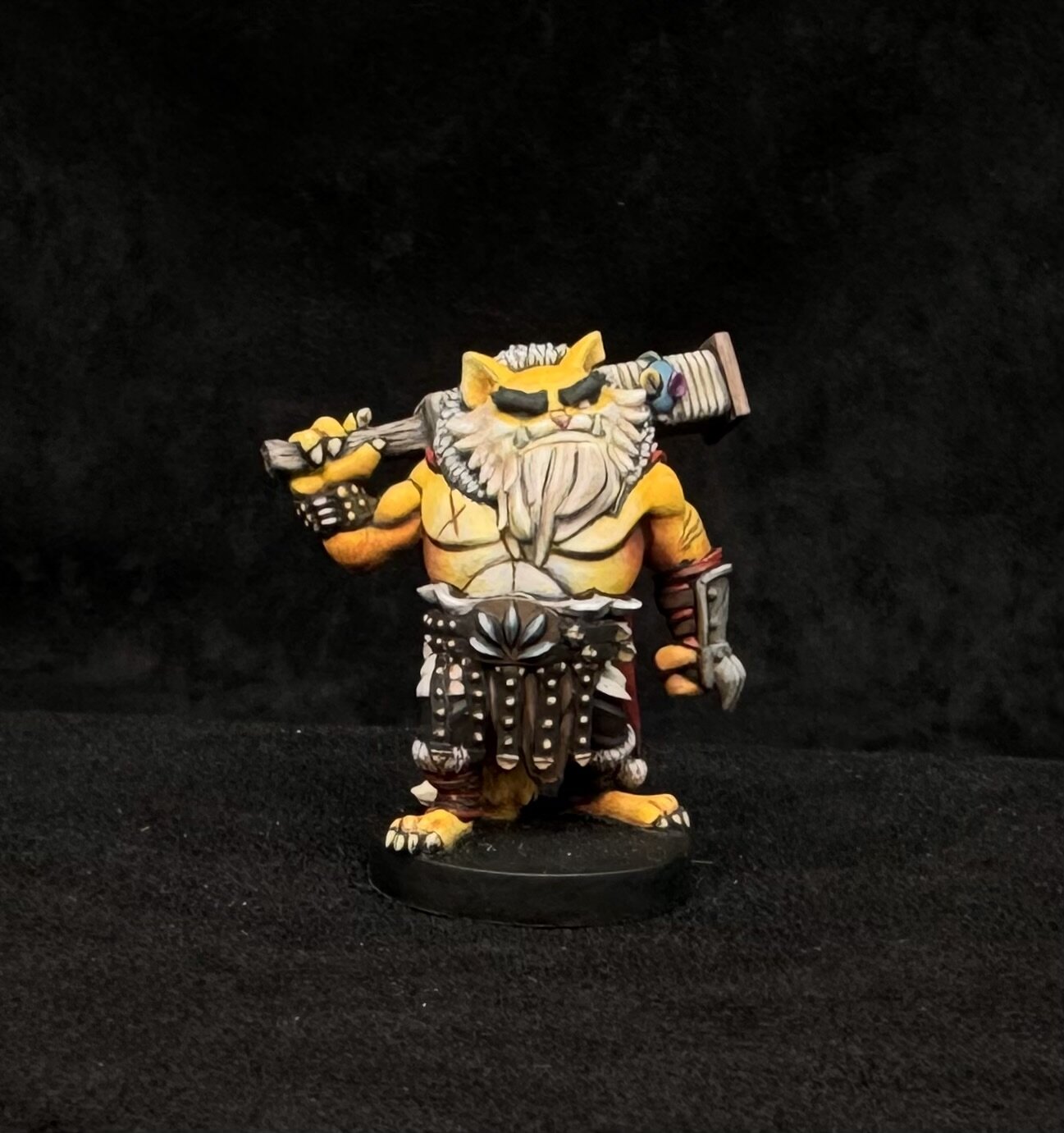 Adventure Cat Barbarian