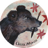 Tish Wolter