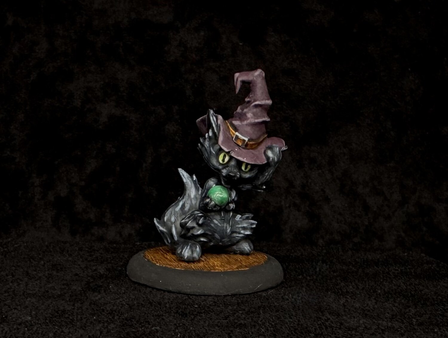 Bewitching Cat